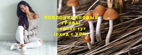 стафф Алзамай