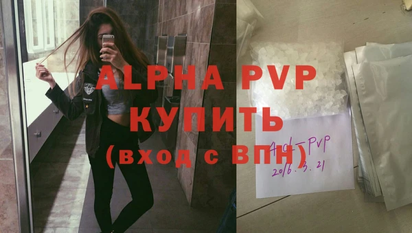 стафф Алзамай